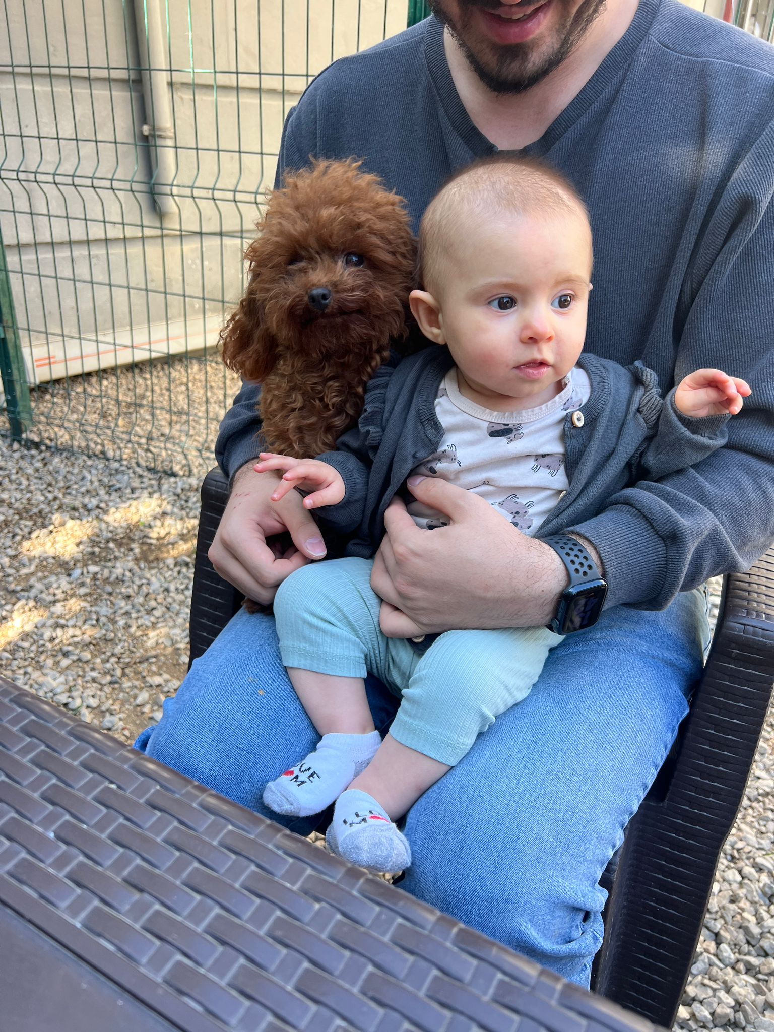 WhatsApp Gorsel 2025 05 16 saat 16.17.21 584ea142