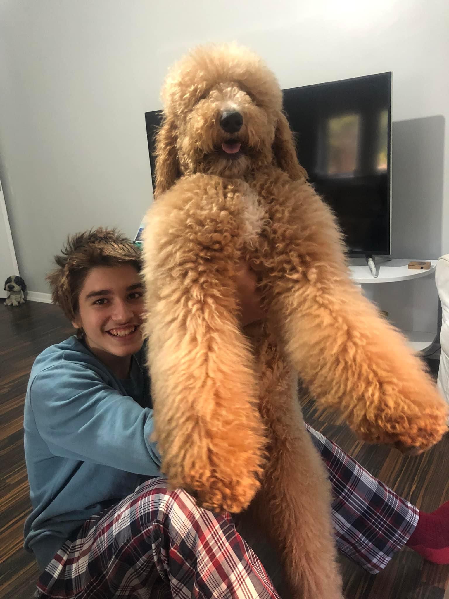 WhatsApp Gorsel 2025 05 16 saat 16.17.34 61adbbc1